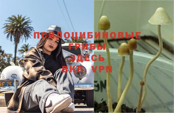 амф Волоколамск