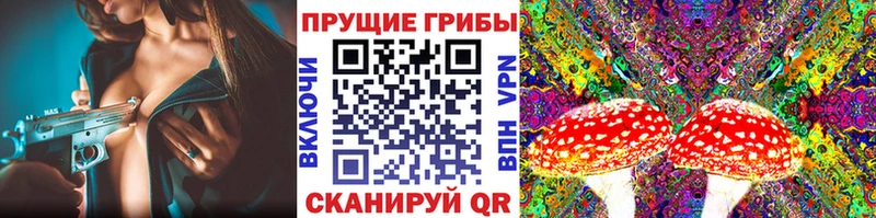 Псилоцибиновые грибы Psilocybine cubensis  Вязники 